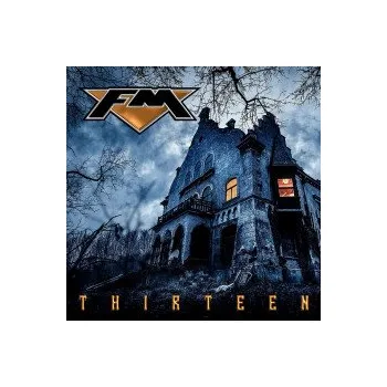 Zahraniční hudba Thirteen / Gold / Vinyl / 2LP - FM [2 LP]