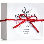 Soaphoria Organic Repairing Soap Bar organické mýdlo s regeneračním účinkem 150 g