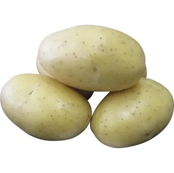 Weitere Dali brambory sadbové 5 kg Semeno Weitere Dali brambory sadbové 5 kg