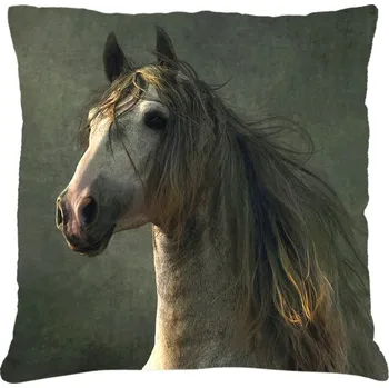 Polštář Polštář s motivem koně 22 Mybesthome 40x40 cm Varianta: Povlak na polštář, 40x40 cm