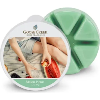 vonný vosk Vosk do aromalampy Melon Picnic – Listy z Patchouli 59 g Goose Creek