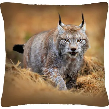 Polštář Polštář animal 05 - RYS Mybesthome 40x40 cm Varianta: Povlak na polštář s výplní, 40x40 cm