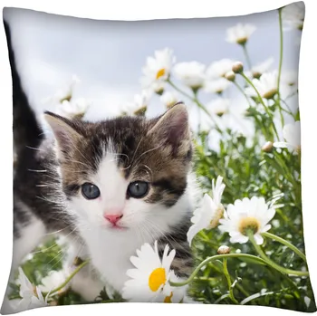 Polštář Polštář s motivem kočky 14, modrá, Mybesthome 40x40 cm Varianta: Povlak na polštář s výplní, 40x40 cm