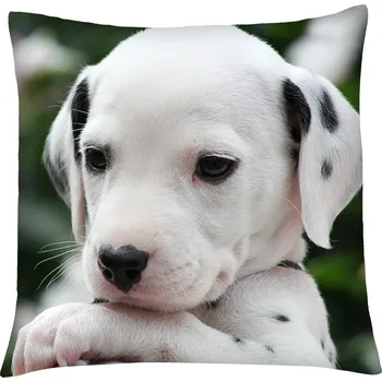 Polštář Polštář s motivem psa 01 Mybesthome 40x40 cm Varianta: Povlak na polštář s výplní, 40x40 cm