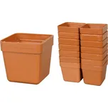 Nohel Garden Kaktus květník 6 x 6 cm 14…