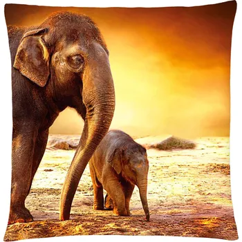 Polštář Polštář animal 01 - SLONI Mybesthome 40x40 cm Varianta: Povlak na polštář s výplní, 40x40 cm
