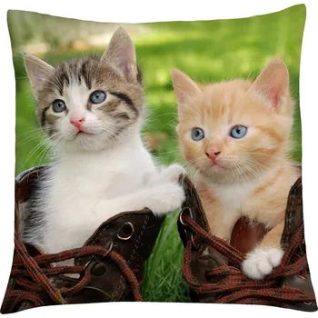 Polštář Polštář s motivem kočky 04, zelená, Mybesthome 40x40 cm Varianta: Povlak na polštář s výplní, 40x40 cm