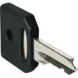 Schneider ZBG455 SADA NÁHRADNÍCH KLÍČŮ (obsahuje 2 ks)