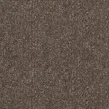 Koberec BAUMAX Dragon 31431 hnědá 400 cm