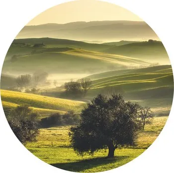 Fototapeta Fototapeta vliesová Toskánsko 142,5 cm
