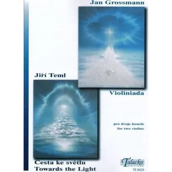 Violiniada, Cesta ke světlu