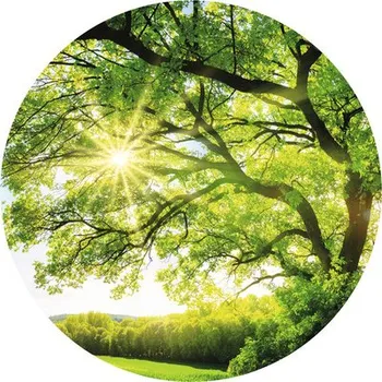 Fototapeta Fototapeta vliesová stromek 95 cm