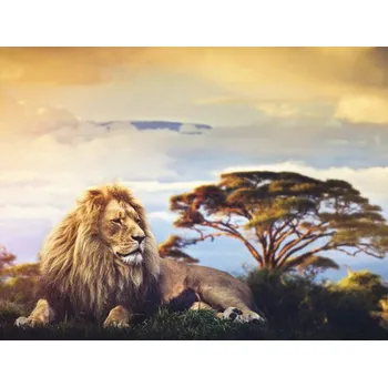 Fototapeta Fototapeta vliesová Kilimandžáro 340x254 cm