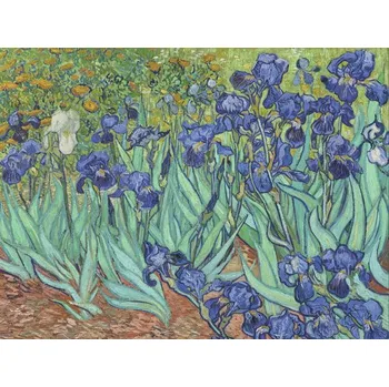 Fototapeta Fototapeta vliesová Van Gogh 243x184 cm