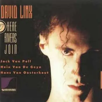 Zahraniční hudba CD David Linx: Where Rivers Join 2018