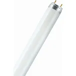 OSRAM Lumilux T8 30W G13 teplá bílá
