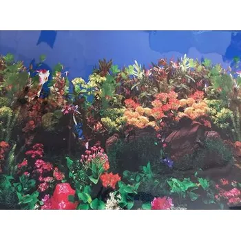 Dekorace do akvária Akvarijní tapeta č.12 – výška 50 cm