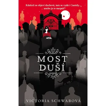 Most duší (3. díl) - V. E. Schwab