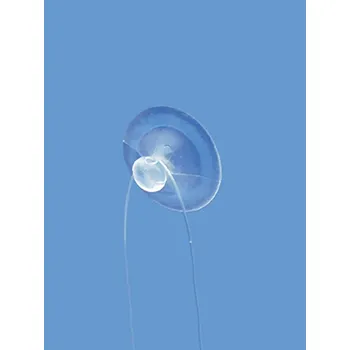 Prodejní regál Přísavka F8028