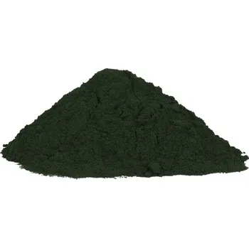 Koření Profikoření - Chlorella prášek (100g) (Mořská řasa)