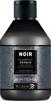 Šampon Black Professional Line Noir Repair obnovující šampon s extraktem z opuncie