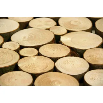 Obklad Drdlík VZOREK - BŘÍZA - obklad z větví - Nebroušený povrch - ROZMĚR VZORKU: 4 ks - (ø 60 - 130 mm)