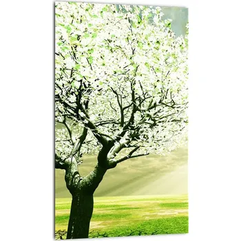 Obraz LuxusniObrazy.cz Obraz kvetoucího stromu