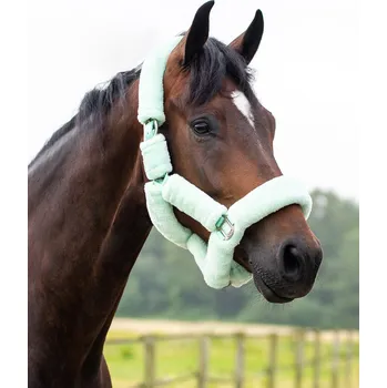 QHP Ohlávka Alaska QHP, mint green SHETTY