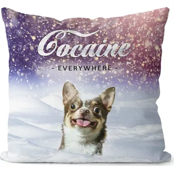 Dekorativní polštářek Polštář Kokain – pes (Velikost: 40 x 40 cm)