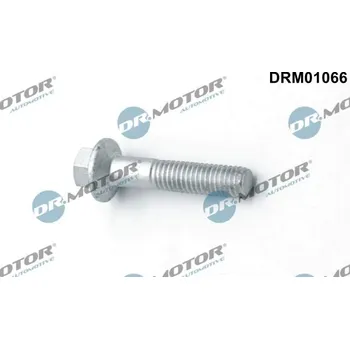 Palivový systém Šroub, držák vstřikovací trysky Dr.Motor Automotive DRM01066