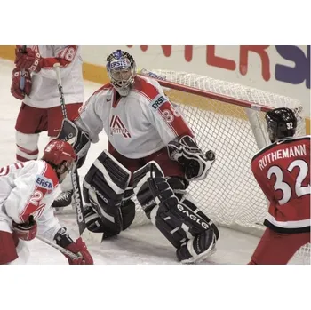 Pletivo Branková síť na lední hokej PES 4 mm, oko 35 mm, bílá