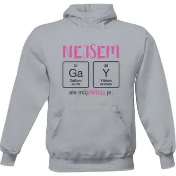 Pánská mikina Pánská mikina s kapucí s potiskem Nejsem gay pánské