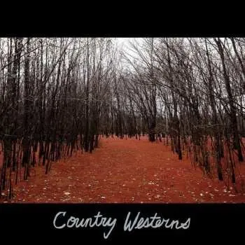 Zahraniční hudba CD Country Westerns: Country Westerns 2020