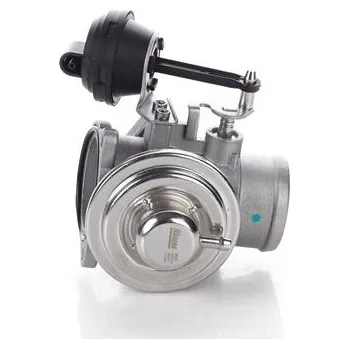 Ventil palivového systému AGR-Ventil NISSENS 98225