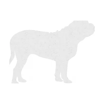 Polep vozidla SAMOLEPKA Pes 170 pravá Bordeauxská doga (84 - Ultra Metalic bílá) NA AUTO, NÁLEPKA, FÓLIE, POLEP, TUNING, VLASTNÍ TEXT, TISK, AUTOSAMOLEPKY.cz, POLEPY, OBRÁZEK, LOGO, SAMOLEPKY