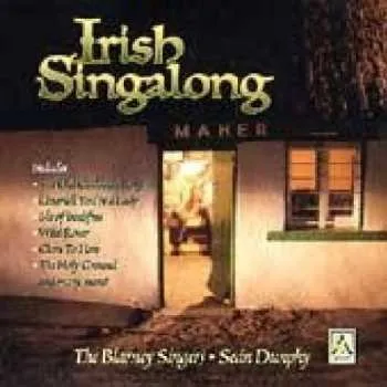 Zahraniční hudba CD Various: Irish Singalong 2013