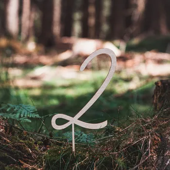 Party dekorace Dřevěná zapichovací ozdoba- Číslice 2