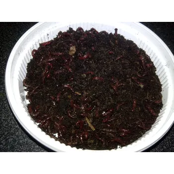 Krmivo pro rybičky PATENTKA VELKÁ JUMBO CHYTACÍ KRABIČKA