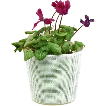 Květináč Vingo Květináč bílý s igelitovou vložkou - 15 x 13 cm