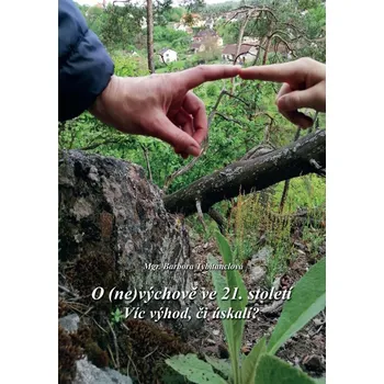 O (ne)výchově ve 21. století, víc výhod než úskalí? Mgr. B. Tybitanclová