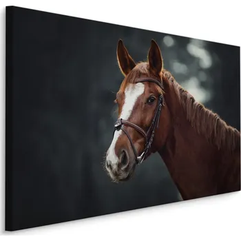 Obraz MyBestHome BOX Plátno Kůň Na Pozadí Lesa Varianta: 30x20