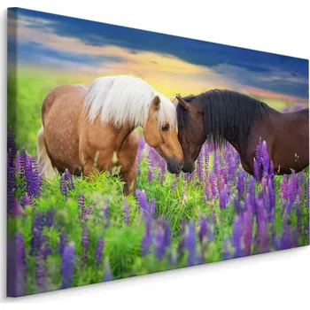 Obraz MyBestHome BOX Plátno Koně Na Louce Varianta: 70x50