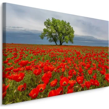 Plátno Strom Uprostřed Makového Pole Varianta: 30x20