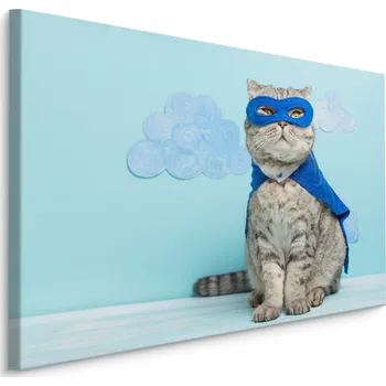 Dekorativní polštářek MyBestHome BOX Plátno Šedá Kočka S Maskou A Pláštěm Varianta: 30x20