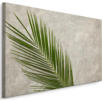 MyBestHome BOX Plátno Palmový List Na Betonovém Pozadí Varianta: 30x20