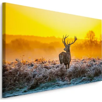 Obraz MyBestHome BOX Plátno Jelen Za Úsvitu Varianta: 30x20