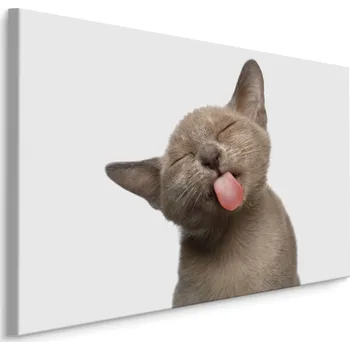 Dekorativní polštářek MyBestHome BOX Plátno Milé Koťátko Varianta: 30x20