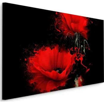 Obraz Plátno Červené Máky Na Černém Pozadí Varianta: 30x20