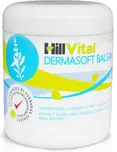 HillVital Dermasoft mast na ekzém 250 ml