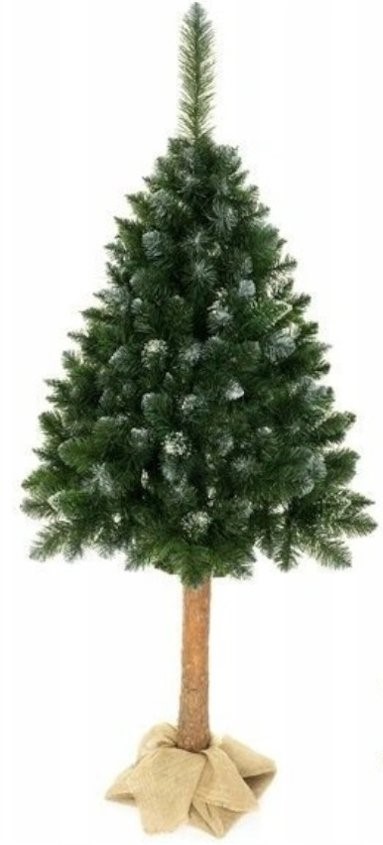 foto Vánoční stromek Borovice se sněhem na kmínku L-10105 umělý vánoční stromek lesklý 160 cm